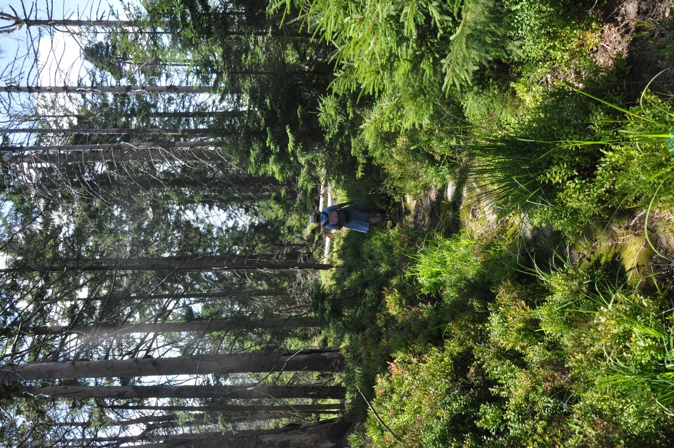 Frau in blauem Kleid läuft auf einem Schmalen Pfad. Foto: Iris Lemanczyk  