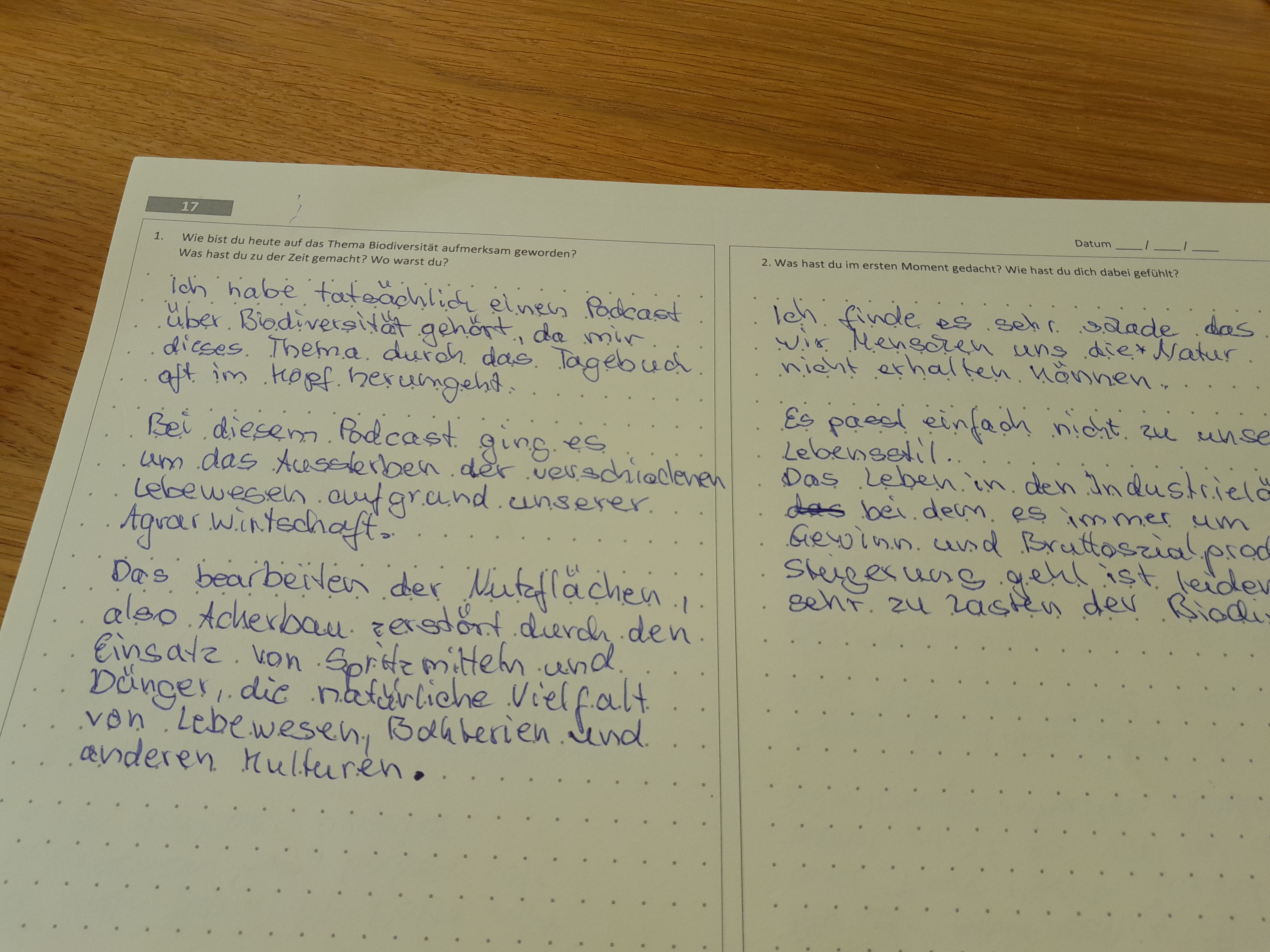 Abbildung 1: aufgeschlagenes Tagebuch mit Einträgen