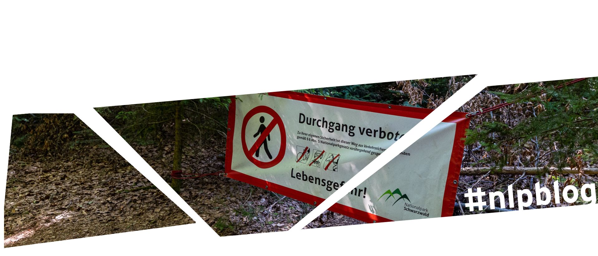 Ein Plakat mit der Aufschrift "Durchgang verboten. Lebensgefahr" hängt im Wald. Foto: Iris Lemanczyk 