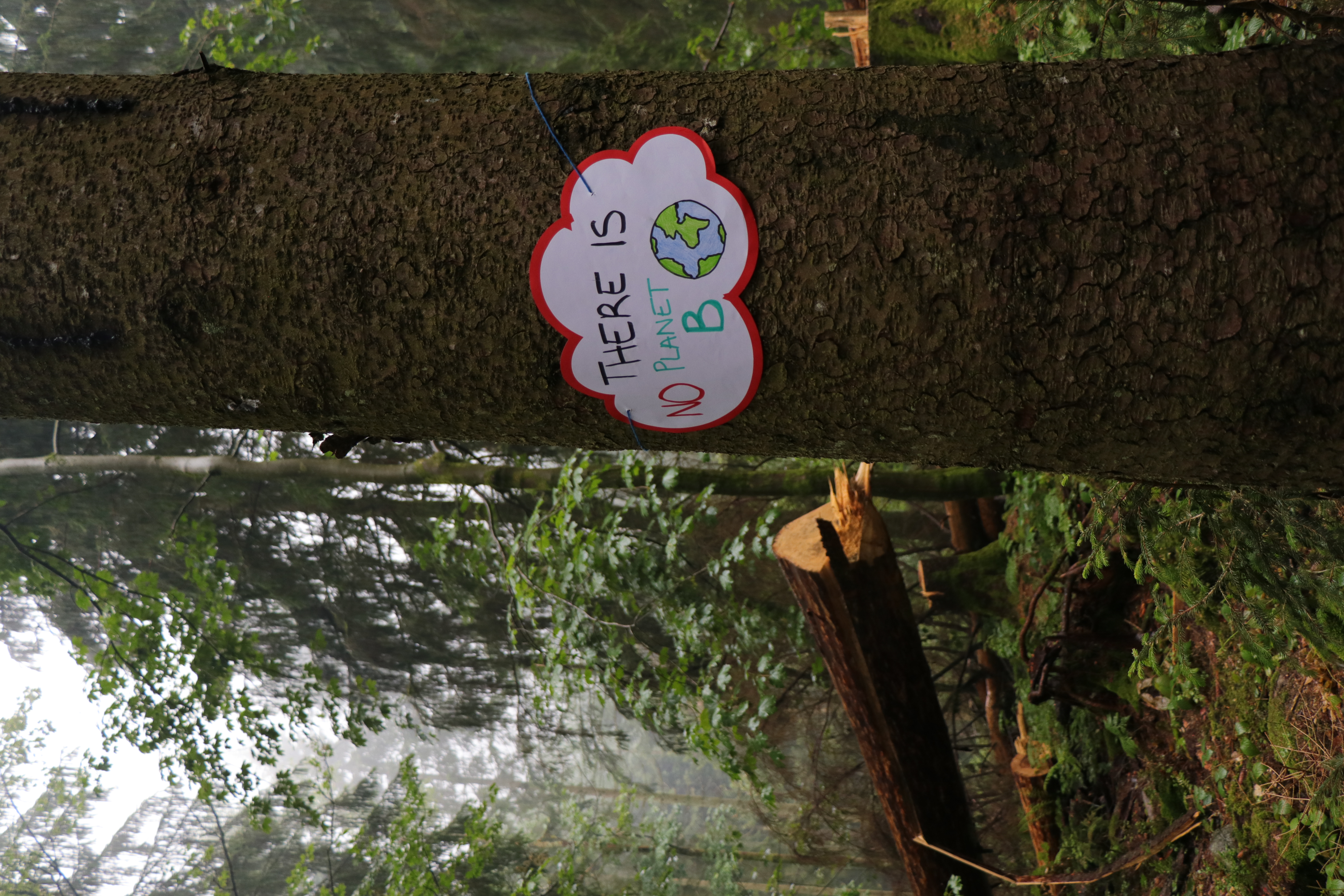 Ein Schild mit der Aufschrift "There is no planet b" hängt an einem Baum im Wald