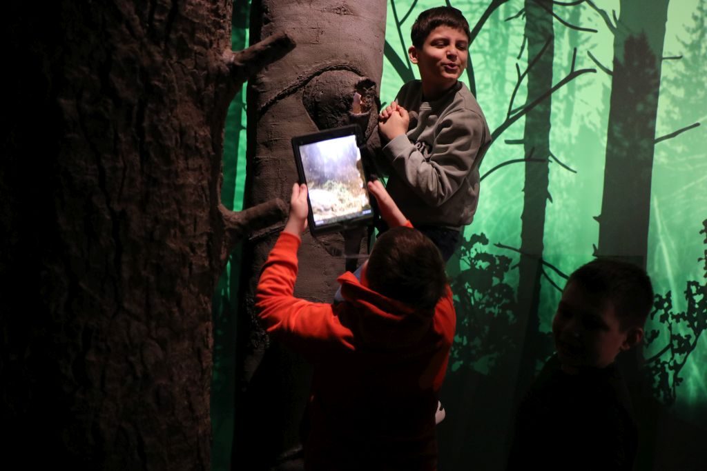 Ein Kind klettert an einem Baum und zeigt ein freudiges Gesicht. Ein anders Kind fotografiert mit dem Tablet etwas in einer Baumhöhle am selben Baum. Das Bild ist in einer Ausstellung.
