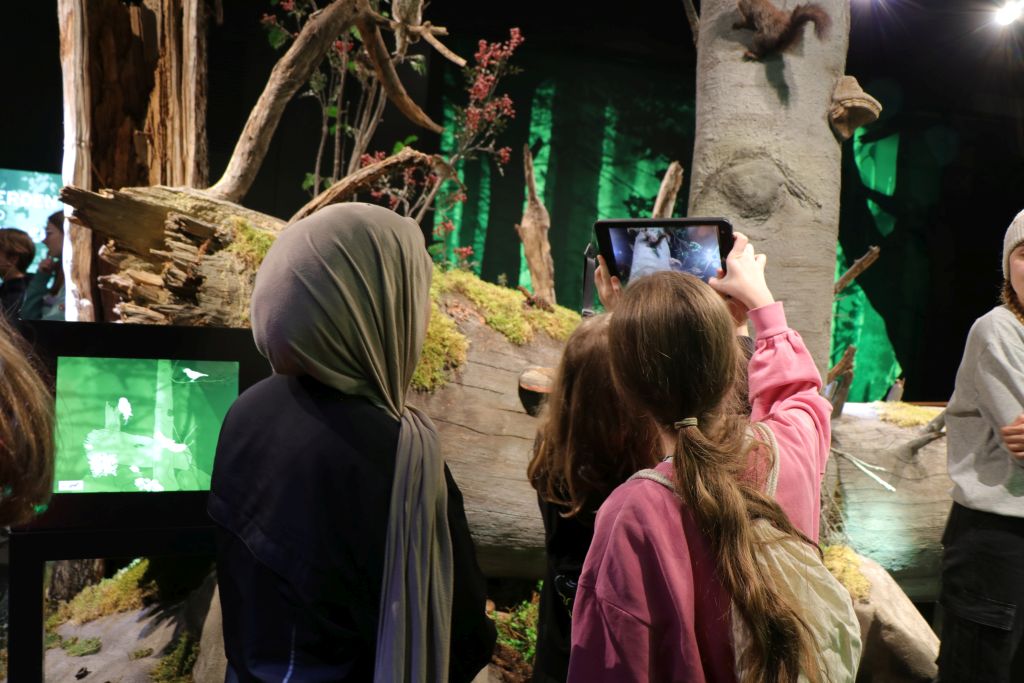 Kinder fotogtafieren mit einem Tablet ein ausgestopftes Eichhörnchen. Die Kinder befinden sich in einer Ausstellung.
