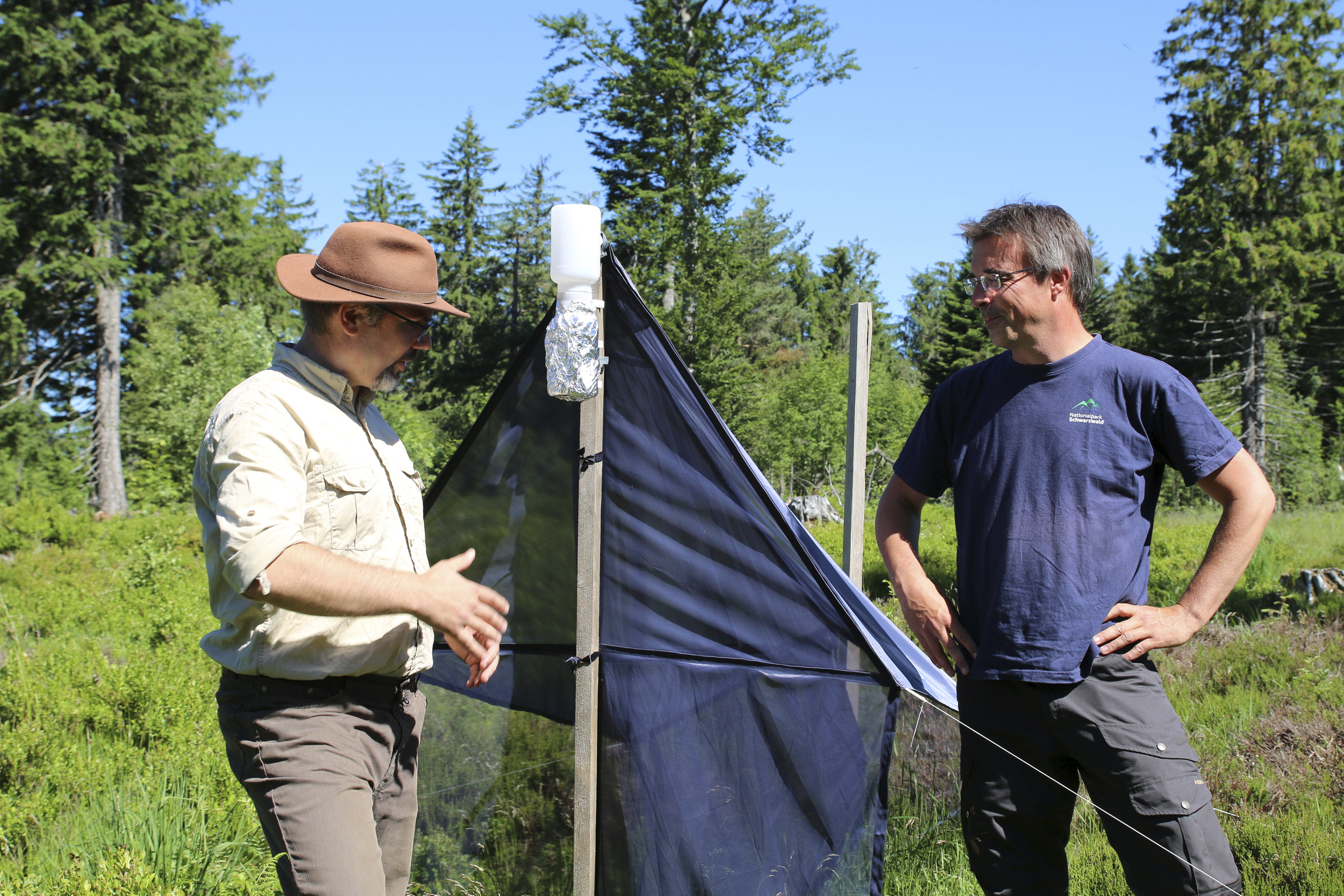 Jörn Buse und Marc Förschler vom naturwissenschaftlichen Fachbereich im Nationalpark erklären praktische Forschungsarbeit im Nationalpark. © Anne Kobarg (Nationalpark Schwarzwald) Zwei Männer stehen links und rechts von einem schwarzen Fangnetz in der Natur. Foto: Anne Kobarg