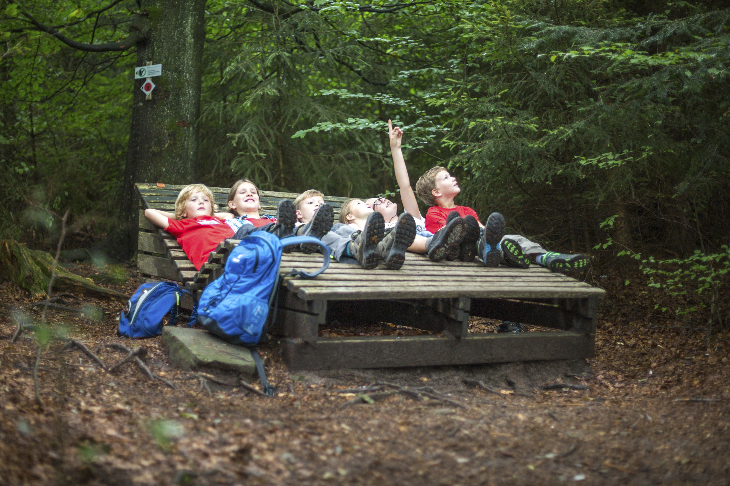 Kinder liegen auf einer Holzliege im Wald und schauen nach oben. Ein Kind zeigt dort auf etwas. Foto: qu-int.gmbh
