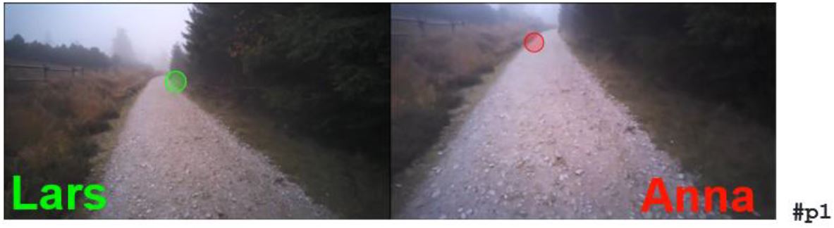 zwei nebeneinanderstehende Bilder, die jeweils den Blick einer Person auf einen Waldweg zeigen.