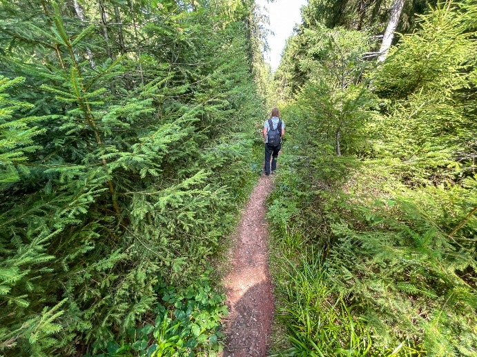 Im Nationalpark unterwegs. © Andreas Forch Eine Frau auf einem Waldweg von hinten. Foto: Andreas Forch