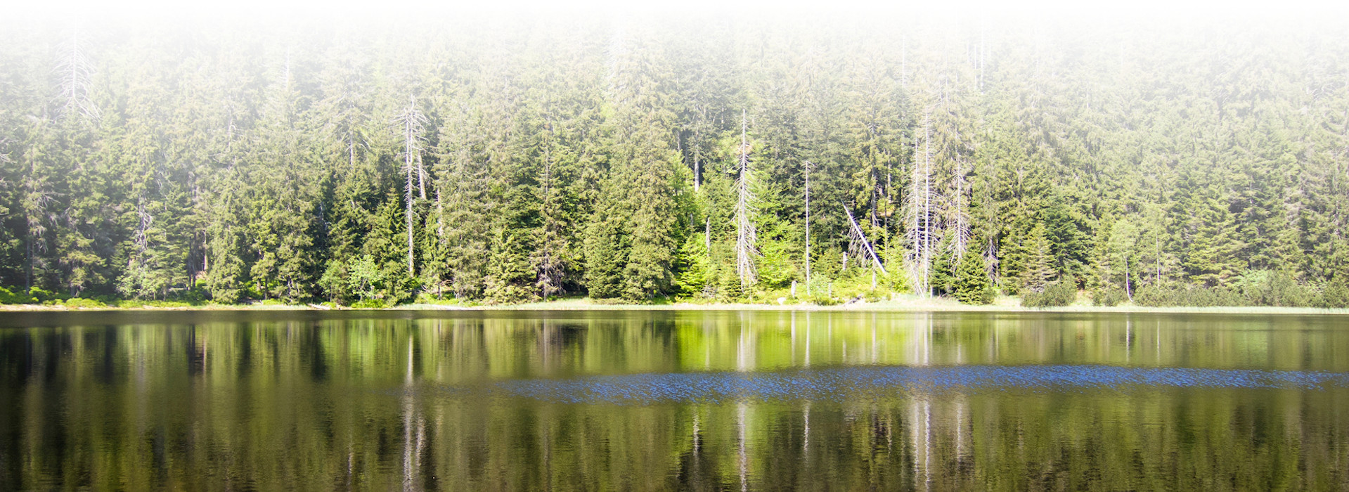 Wasserfläche mit Nadelbäumen im Hintergrund, die sich im Wasser spiegeln. Foto: Arne Kolb