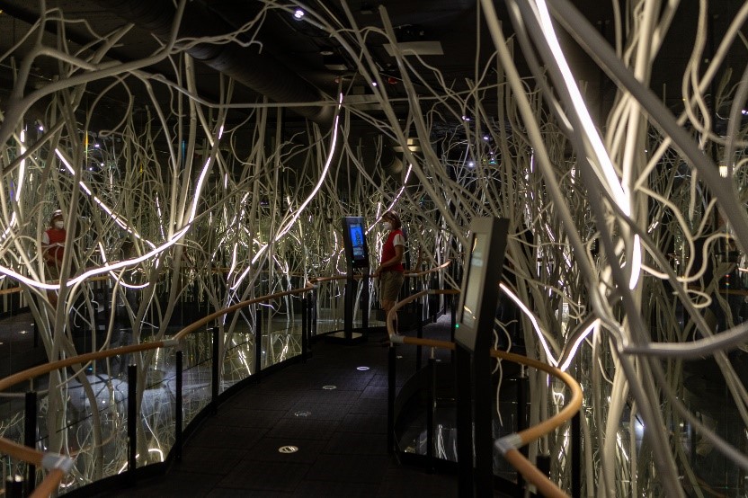 In der Unterwelt des Waldes, umgeben von Pilzfäden in der Ausstellung. © Andreas Forch