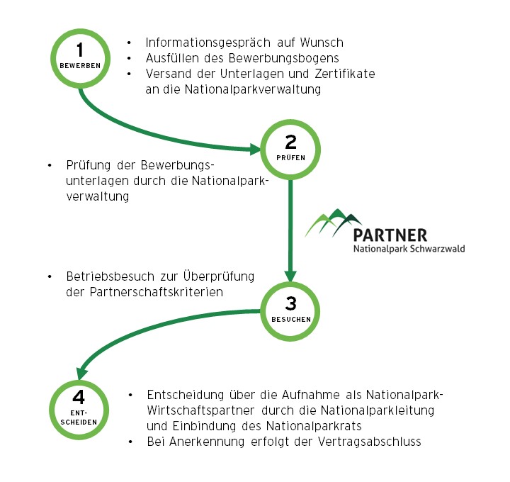 Schaubild mit den vier Schritten zu einer Partnerschaft mit dem Nationalpark