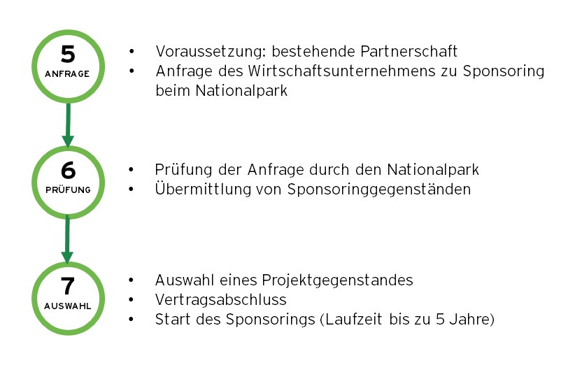Schaubild mit den drei Schritten zum optionalen Sponsoring für Wirtschaftspartner des Nationalparks Schwarzwald