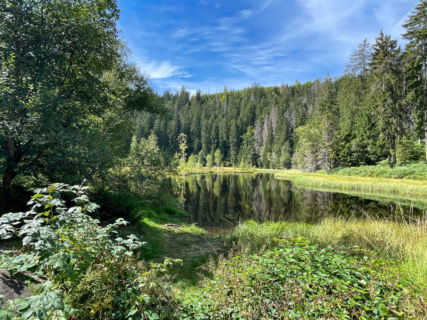 Ein See umgeben von Wiesen und Wald. Foto: Andreas Forch