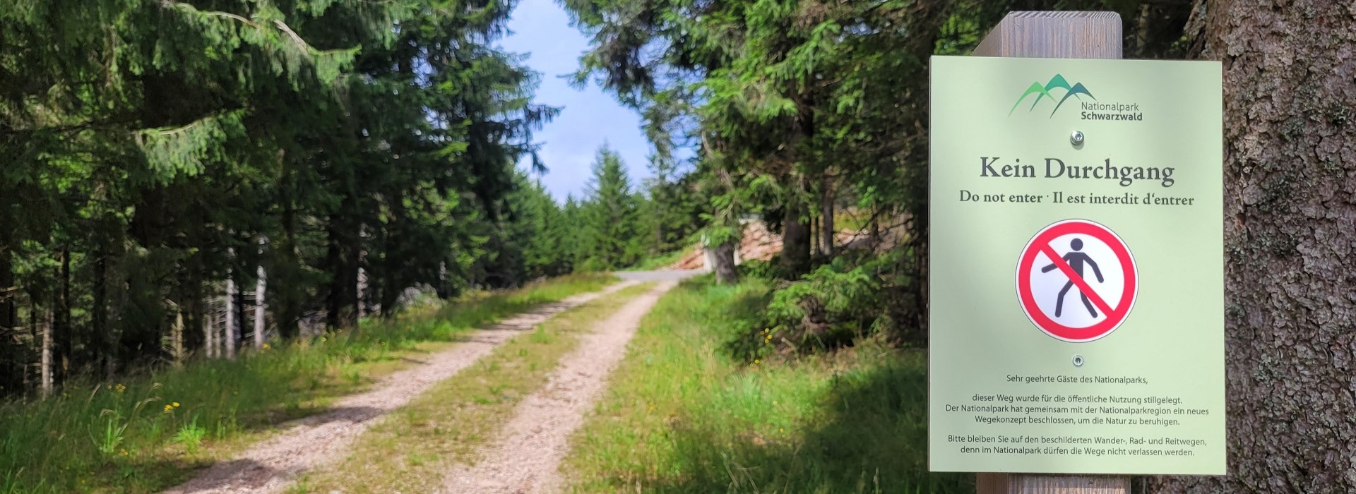 Hier ist ein Weg im Nationalpark mit einem Durchgangsverbotsschild zu sehen. 