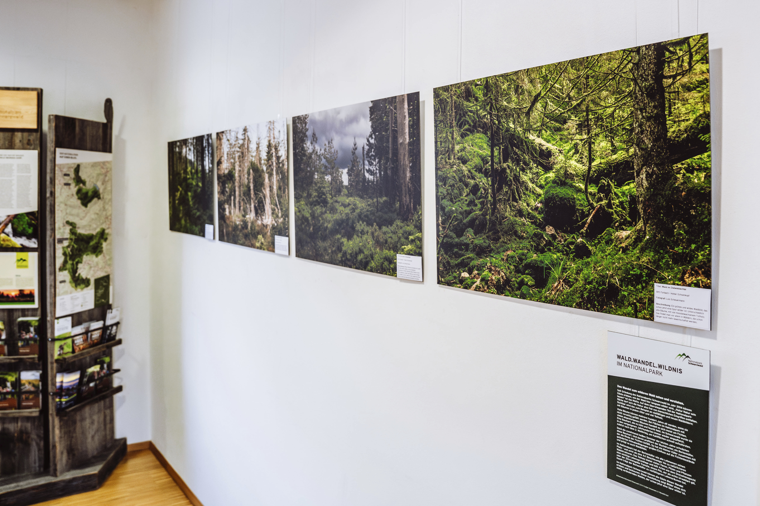 Waldwandel-Ausstellung