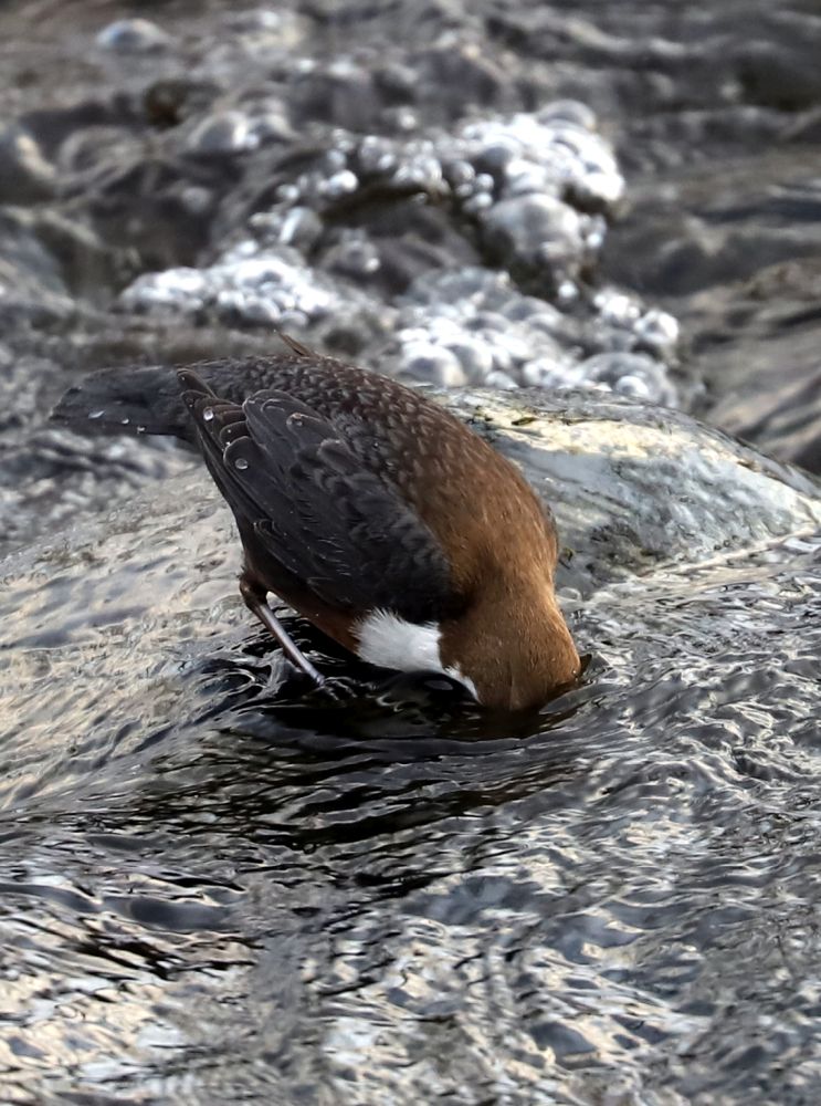 Foto Jürgen Kläger