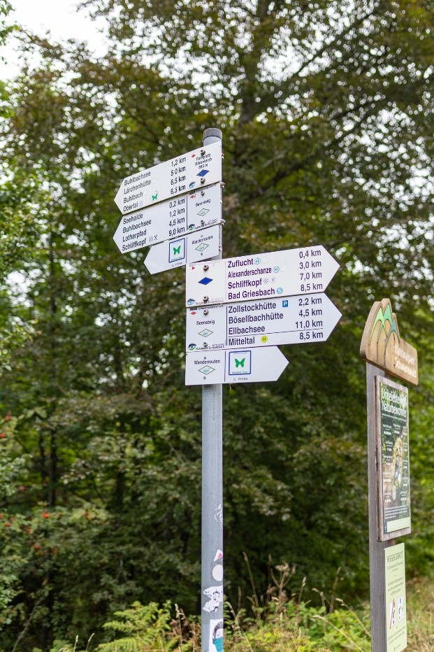 Schilderbaum im Nationalpark Schwarzwald. © Andreas Forch Ein Pfosten mit vielen Wegweisschildern. Foto: Andreas Forch
