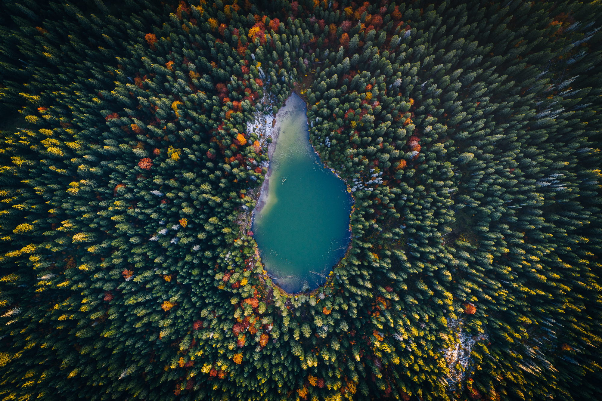 Ein kleiner See umgeben vom Wald, aufgenommen von oben. Foto: Simon Straetker