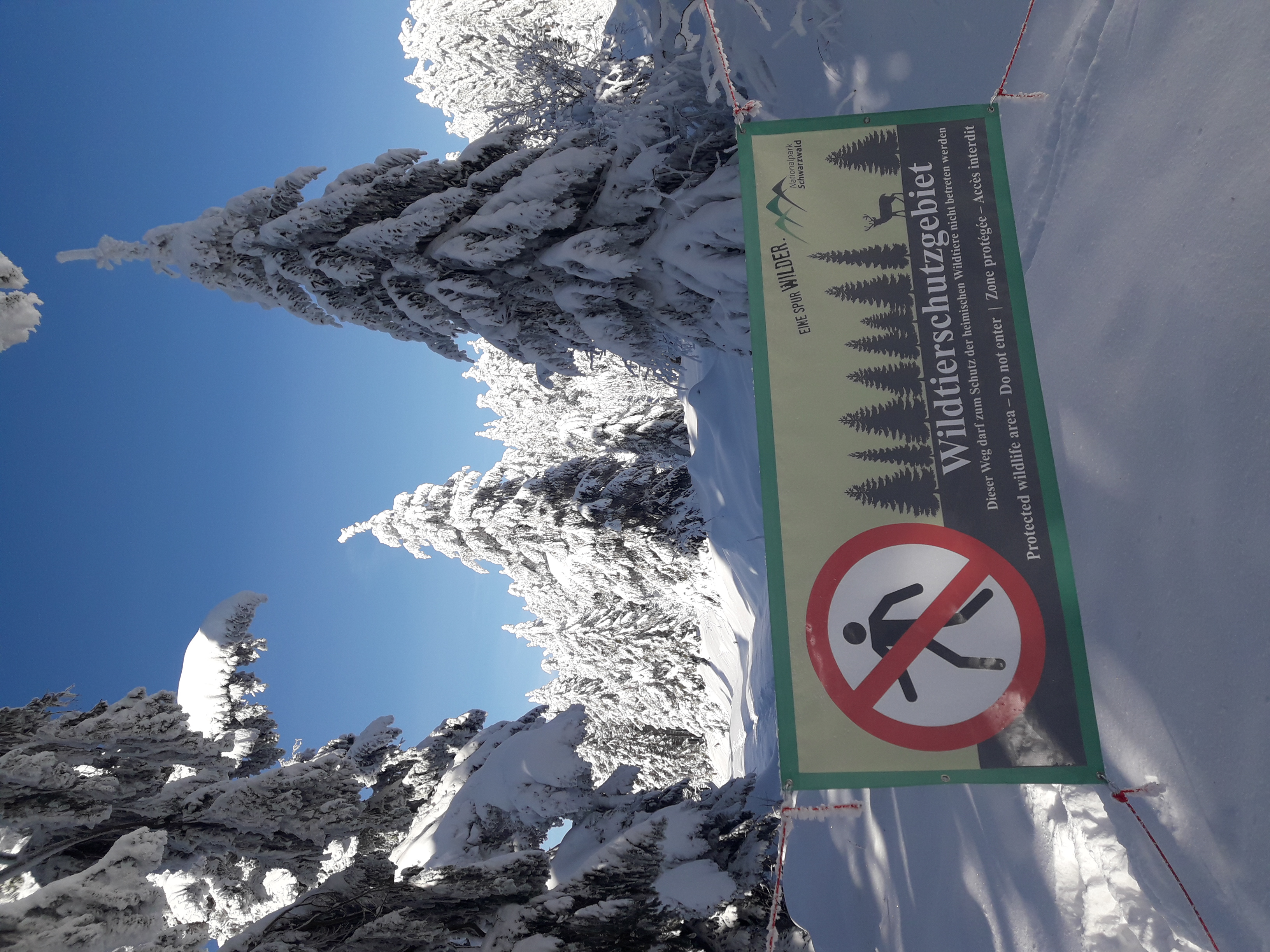 Eine winterliche Landschaft. Im Vordergrund ist ein Schild mit der Aufschrift "Wildtierschutzgebiet" und einem durchgestrichenen, roten Kreuz. Foto: Arne Kolb 