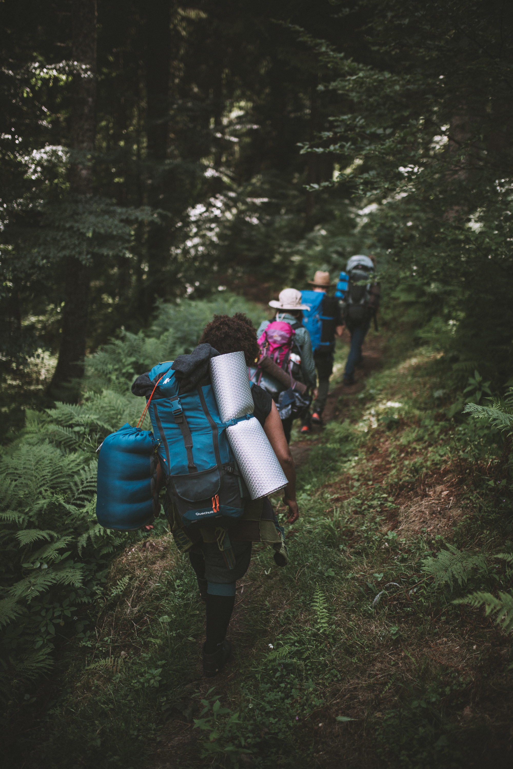 Eine Gruppe von Leuten mit Trekkingrucksäcken läuft in den Wald. Ein Schlafsack und eine Isomatte sind an den Rucksack gebunden