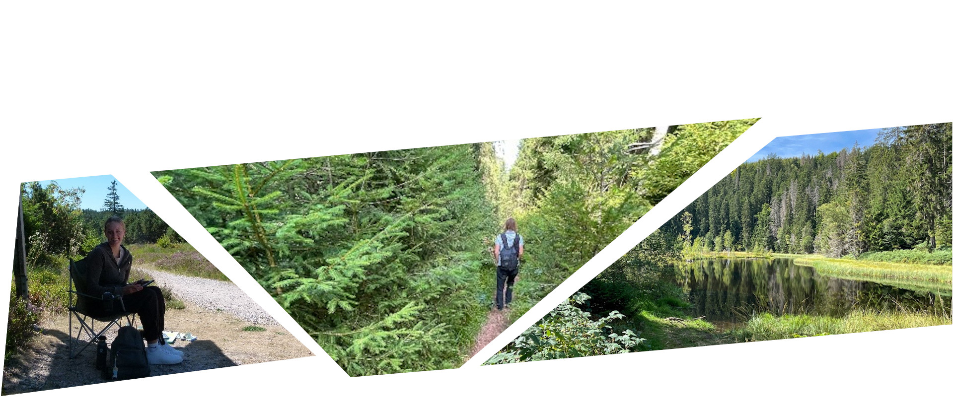 Eine Frau sitzt am Wegesrand, eine Frau auf einem Waldweg von hinten, ein See im Nationalpark Schwarzwald. Fotos: Mareike Garms / Andreas Forch