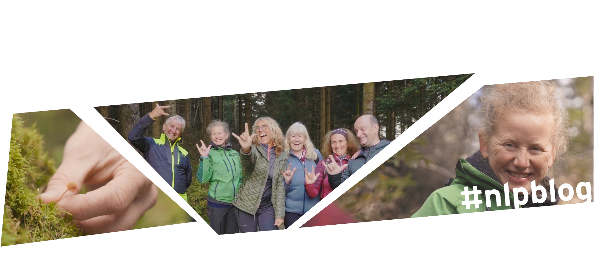Collage aus drei Bildern: Eine Gruppe fröhlicher Menschen in Wanderkleidung stehen an einem Waldrand; Porträt einer herzlich lachenden Frau mit hellen Haaren; Eine Nahaufnahme einer Hand, die vorsichtig einen winzigen Pilz im grünen Moos berührt. Fotos: Juliane Schrempp 
