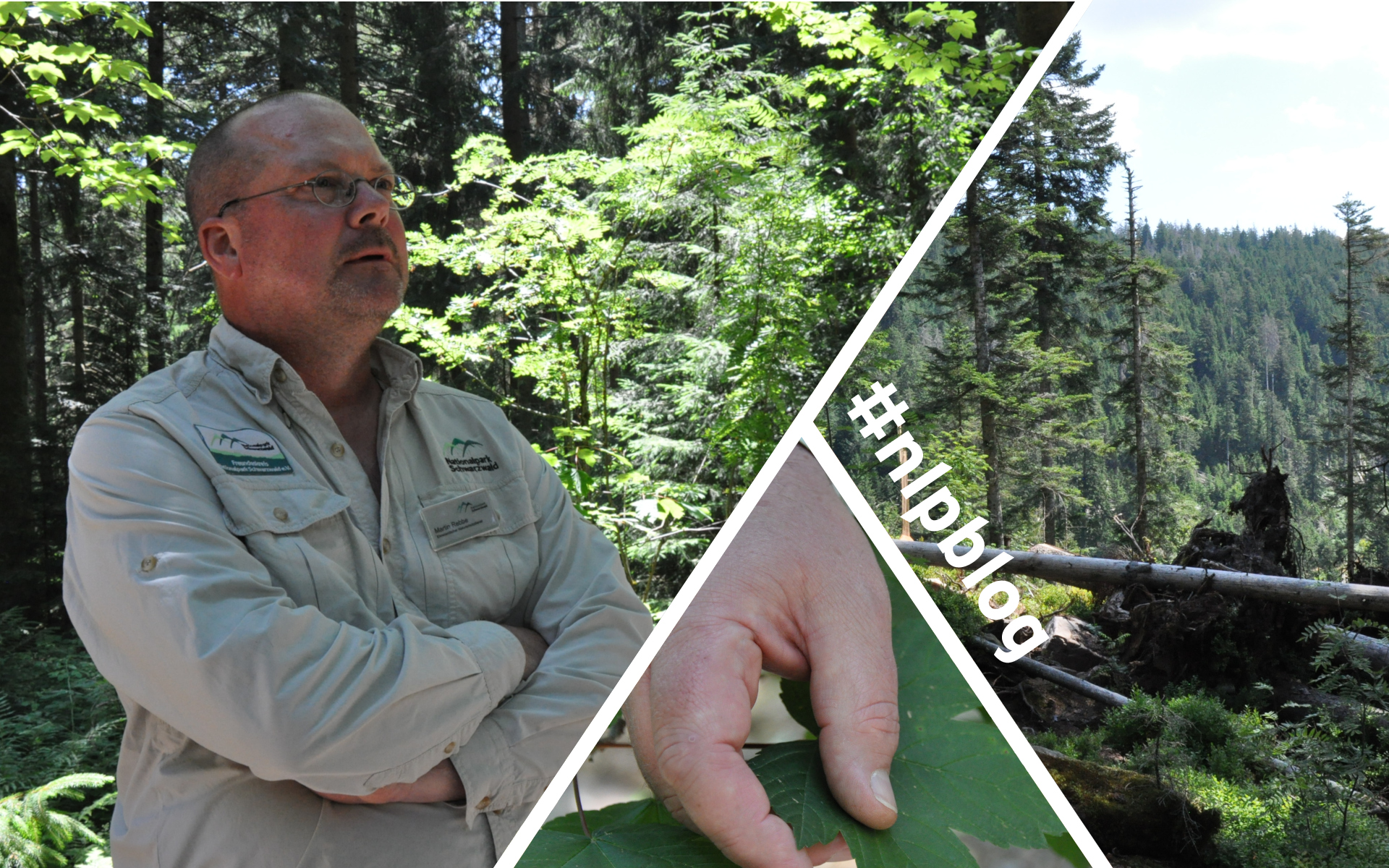 Leidenschaft für den Naturschutz