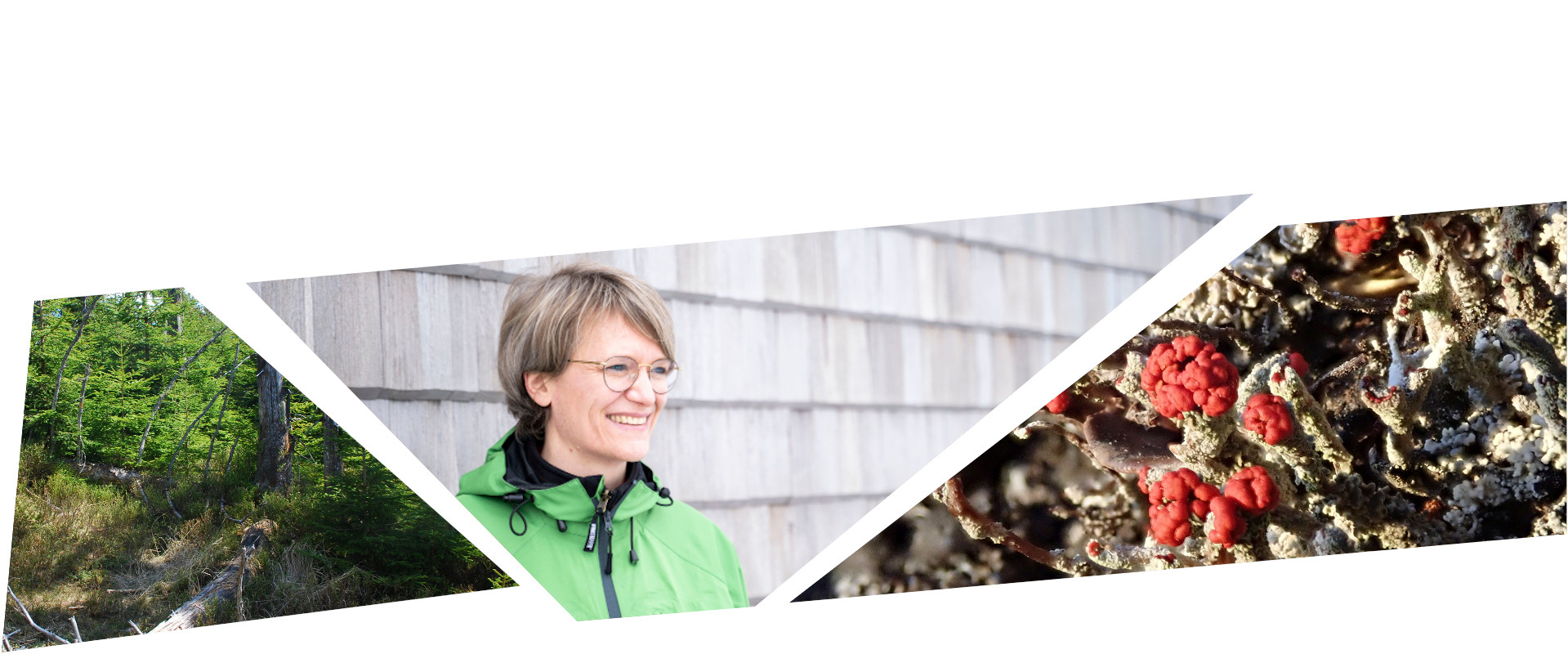 Collage aus drei Bildern: wilder Wald, eine Frau mit blonden Haaren und grüner Jacke und eine Felchte mit roten Köpfchen. Fotos: Charly Ebel/Daniel Müller (Nationalpark Schwarzwald)