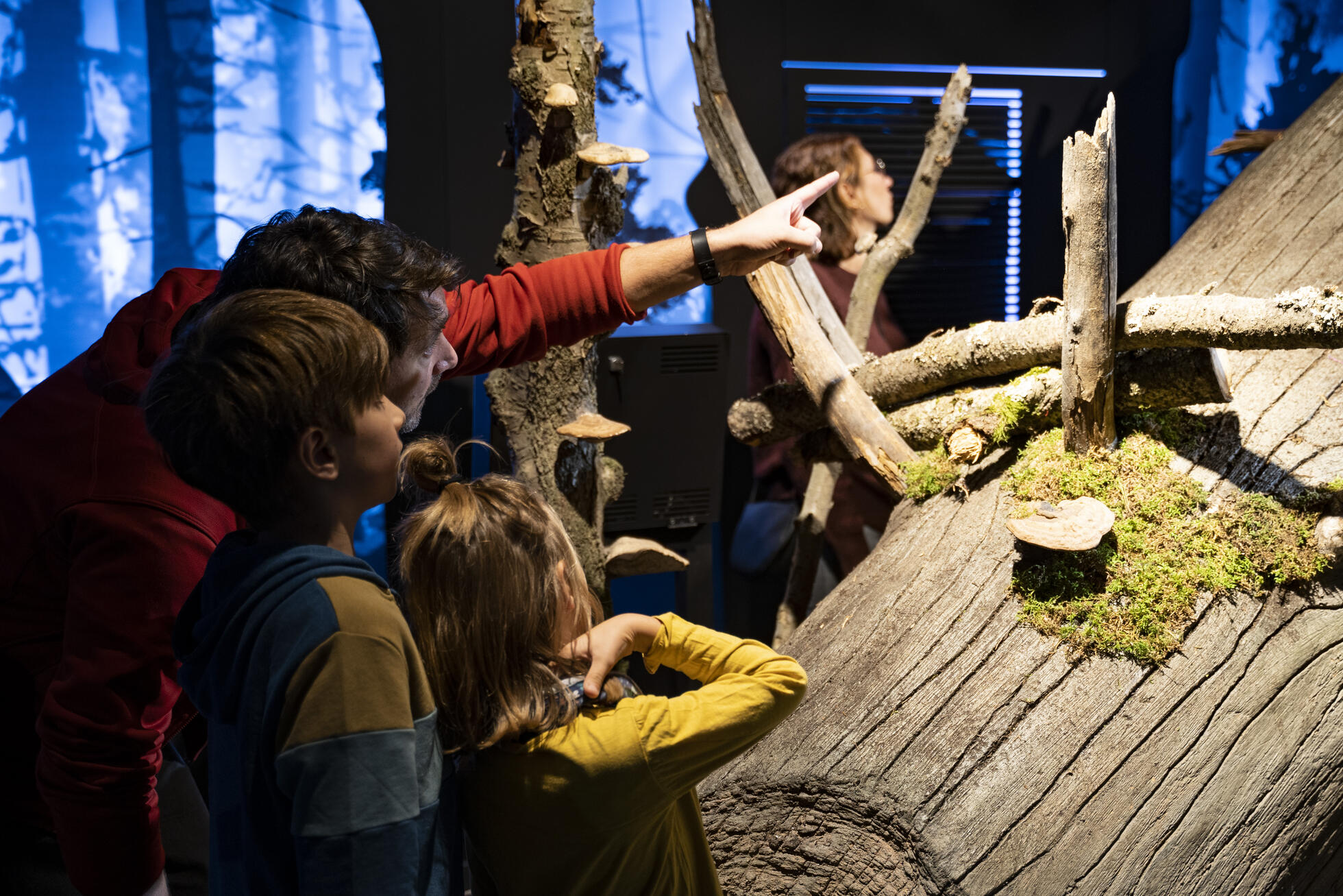 Ein Mann zeigt auf einen Baumstamm in einer Ausstellung, zwei Kinder schauen in die Richtung. Foto: Daniel Müller