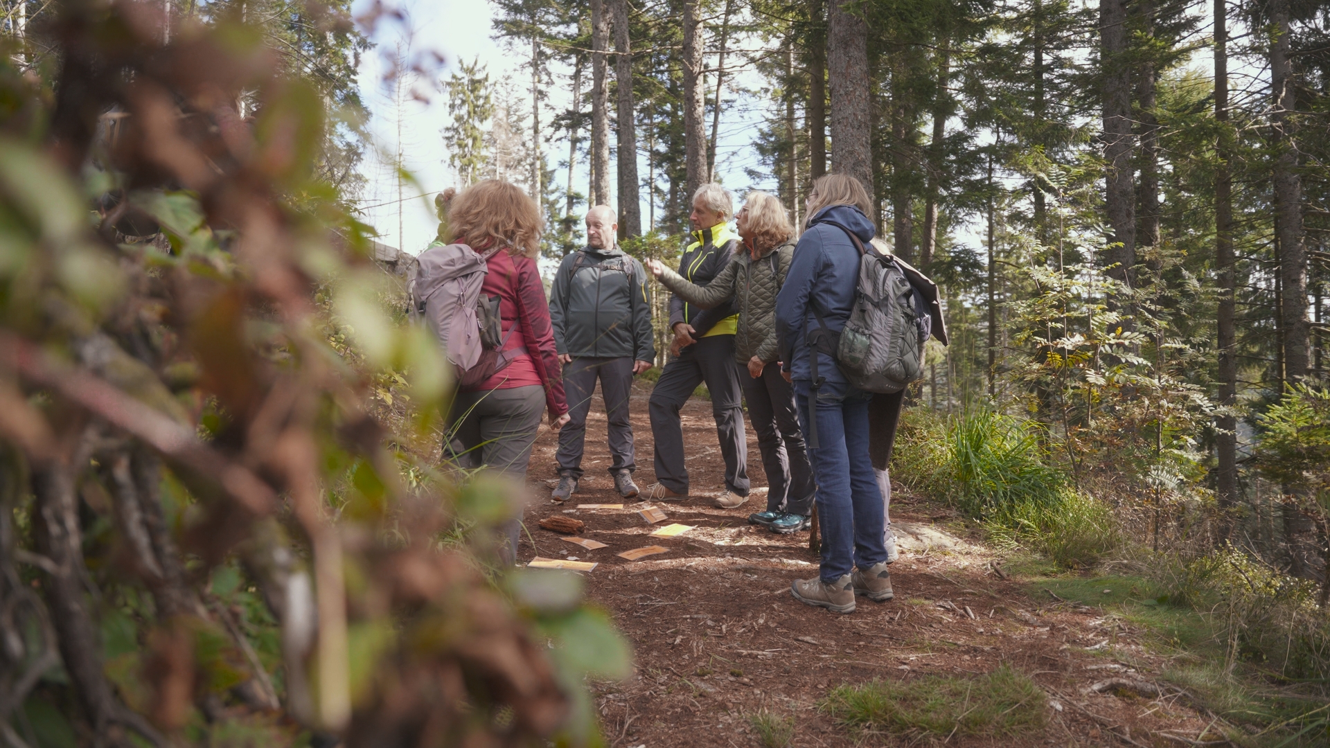 Das Foto zeigt eine Gruppe von sechs Erwachsenen mittleren bis älteren Alters, die mitten in einem Nadelwald auf einem unbefestigten Waldweg stehen und sich unterhalten. Die Stimmung wirkt herbstlich und gemeinschaftlich. Foto: Juliane Schrempp