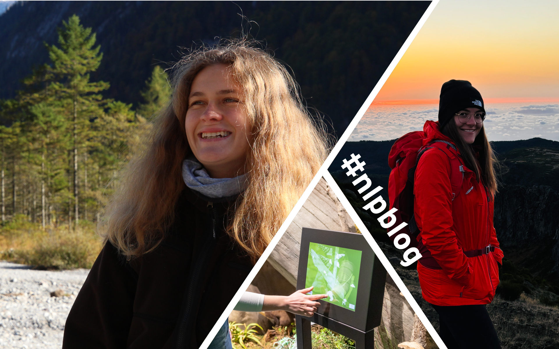 Freiwilligendienst: Jetzt bewerben!