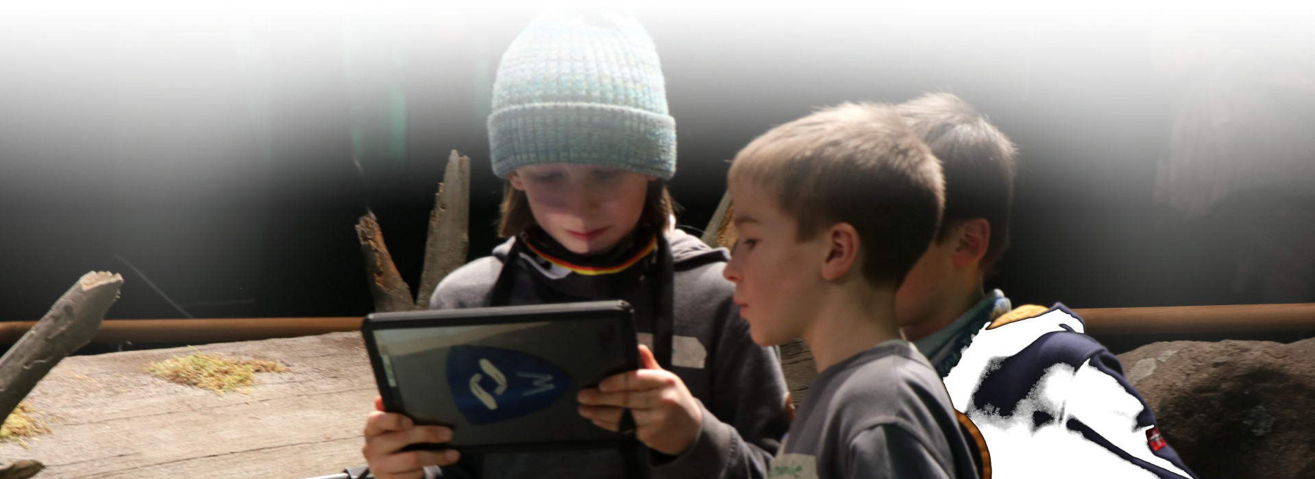Drei Kinder schauen auf ein Tablet. Dahinter ist ein Baumstamm. Sie befinden sich in einer Ausstellung.