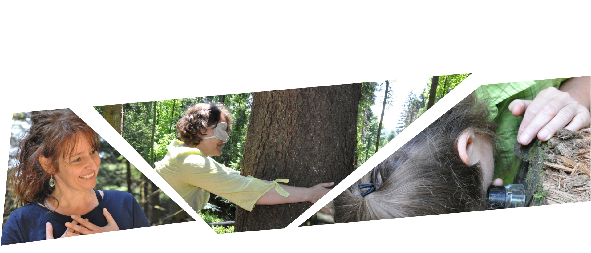 Collage aus drei Bildern: Eine Frau in blauem T-Shirt lächelt, eine Frau mit Augenmaske umarmt einen Baum, Eine Frau mit einer Lupe untersucht den Baumstamm. Fotos: Nina Blazon