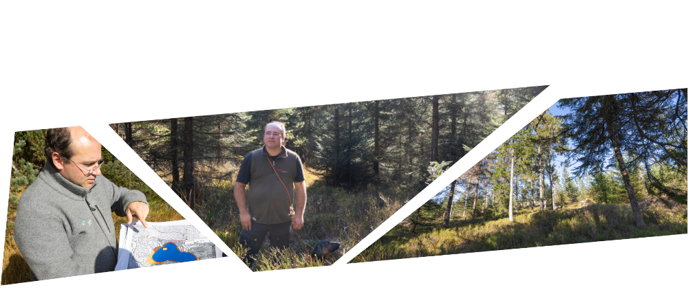 Collage aus drei Bildern: Ein Mann in grauer Jacke zeigt auf eine Karte, derselbe Mann in Tshirt und Weste steht in einem Wald, rechts ein Wald. Fotos: Ulrike Klumpp
