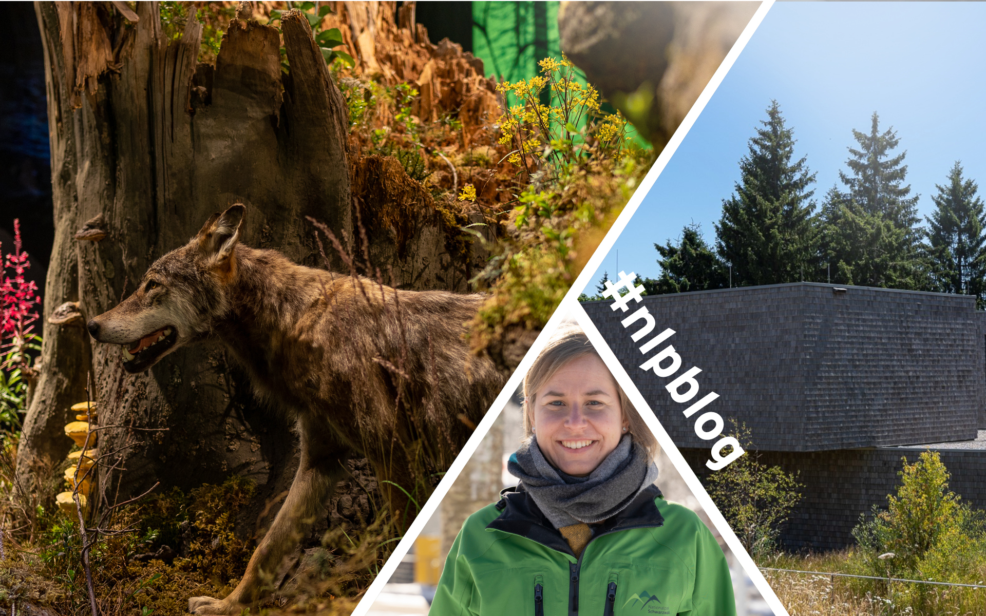 Schließzeit Nationalparkzentren